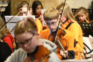Small group of violinists