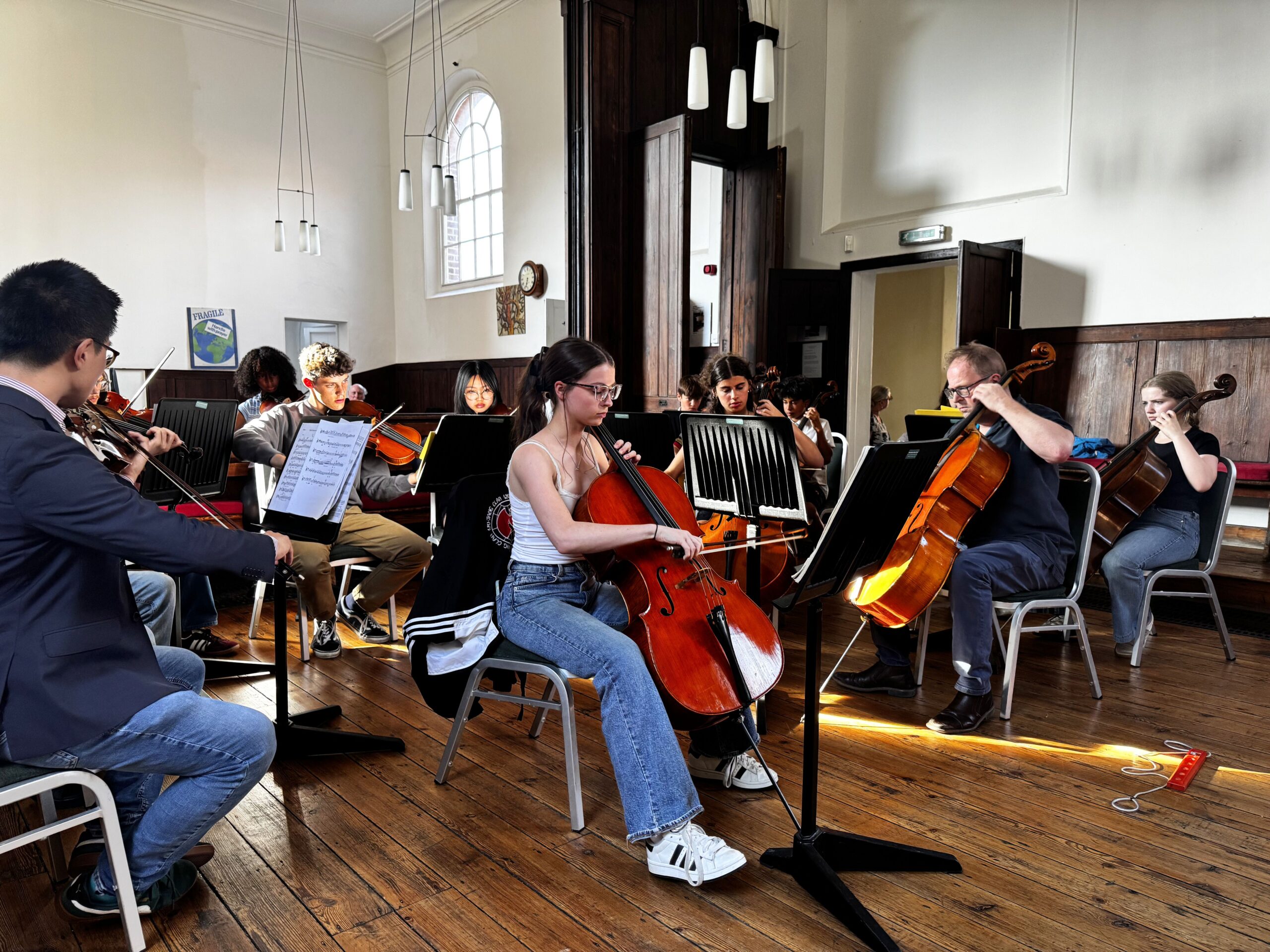 Group of musicians playing string instruments